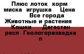 Плюс лоток, корм, миска, игрушка. › Цена ­ 50 - Все города Животные и растения » Кошки   . Дагестан респ.,Геологоразведка п.